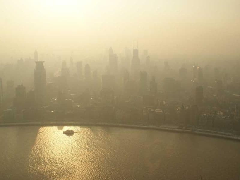 RNA Isolation Kit Professional