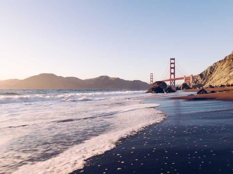 Plant Extraction Kit