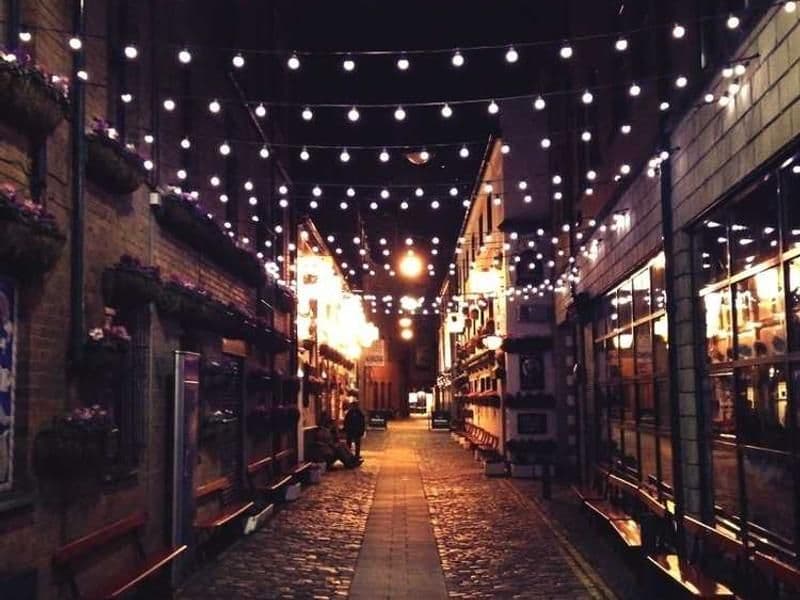 Veterinary PCR Kit - Canine