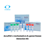 AccuPid Chlamydia trachomatis & Neisserice gonorrhoeae Detection Kit (RUO)