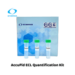 AccuPid ECL Quantification Kit (RUO)
