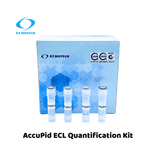 AccuPid ECL Quantification Kit (RUO)