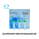 AccuPid HSV1-HSV2-GV Detection Kit (RUO)