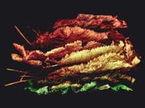 RNA Isolation Kit Professional