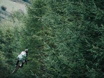 Food Safety Test Kit