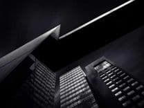 Shrimp Disease Detection Kit