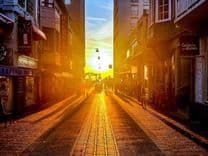 Plant Extraction Kit