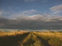 Plant Extraction Kit