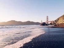 Plant Extraction Kit