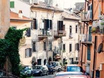 Plant Extraction Kit