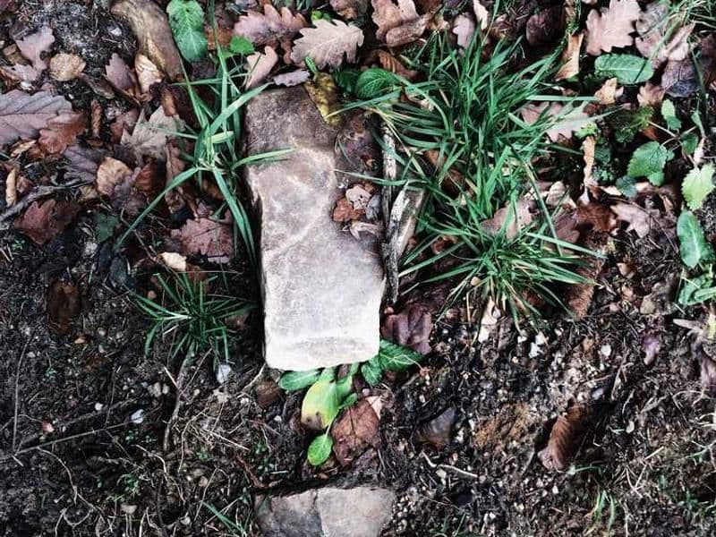 DNA Extraction Kit Premium