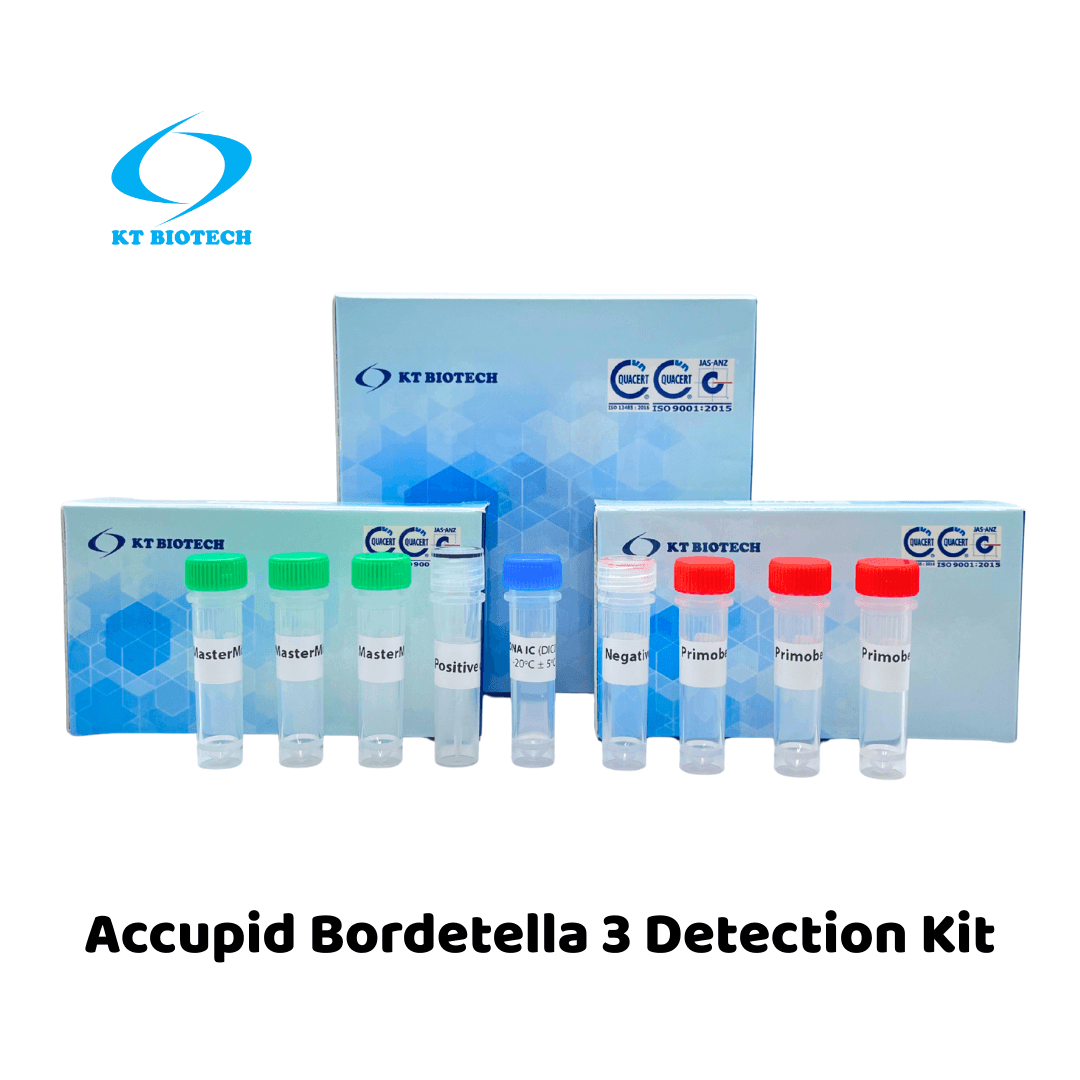 Accupid Bordetella 3 Detection Kit (RUO)