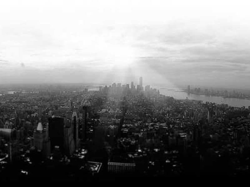 Phát triển thuốc từ thực vật dược liệu